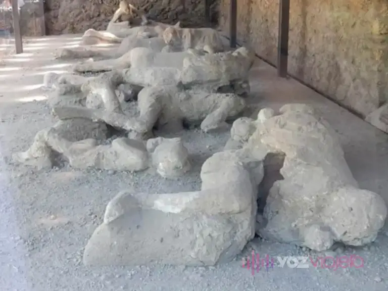 Garden of the Fugitives from Pompeii