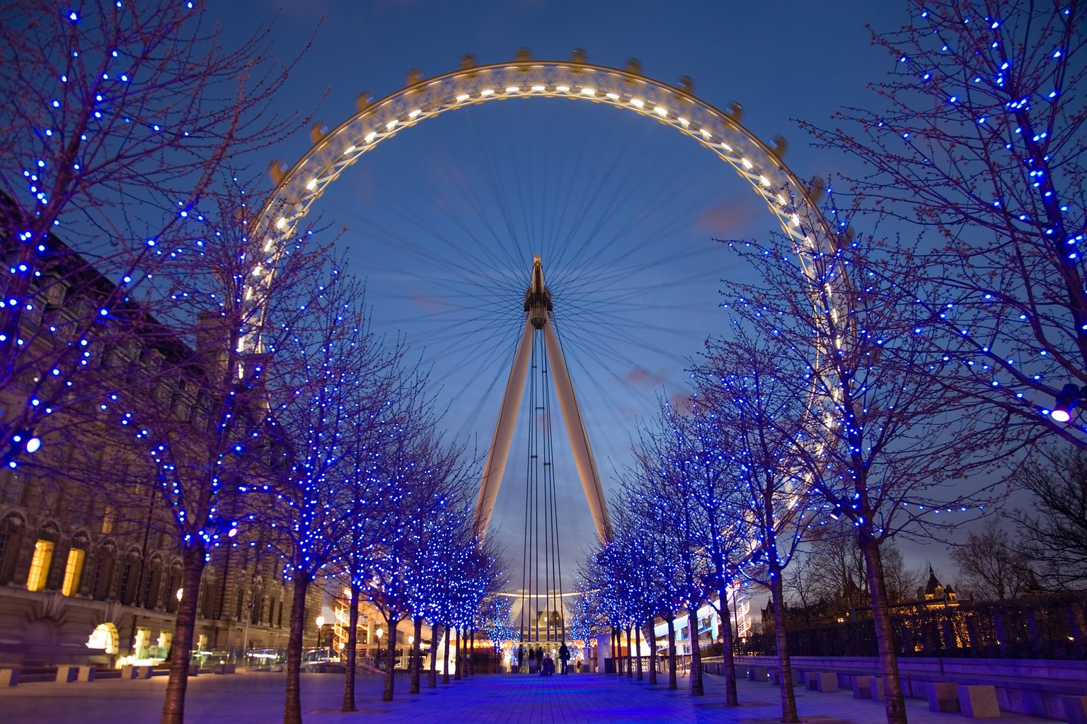 The London Eye from behind at twilight, at the end of an avenue of trees wrapped in blue lights, with the A-shaped frame that holds the wheel from one side