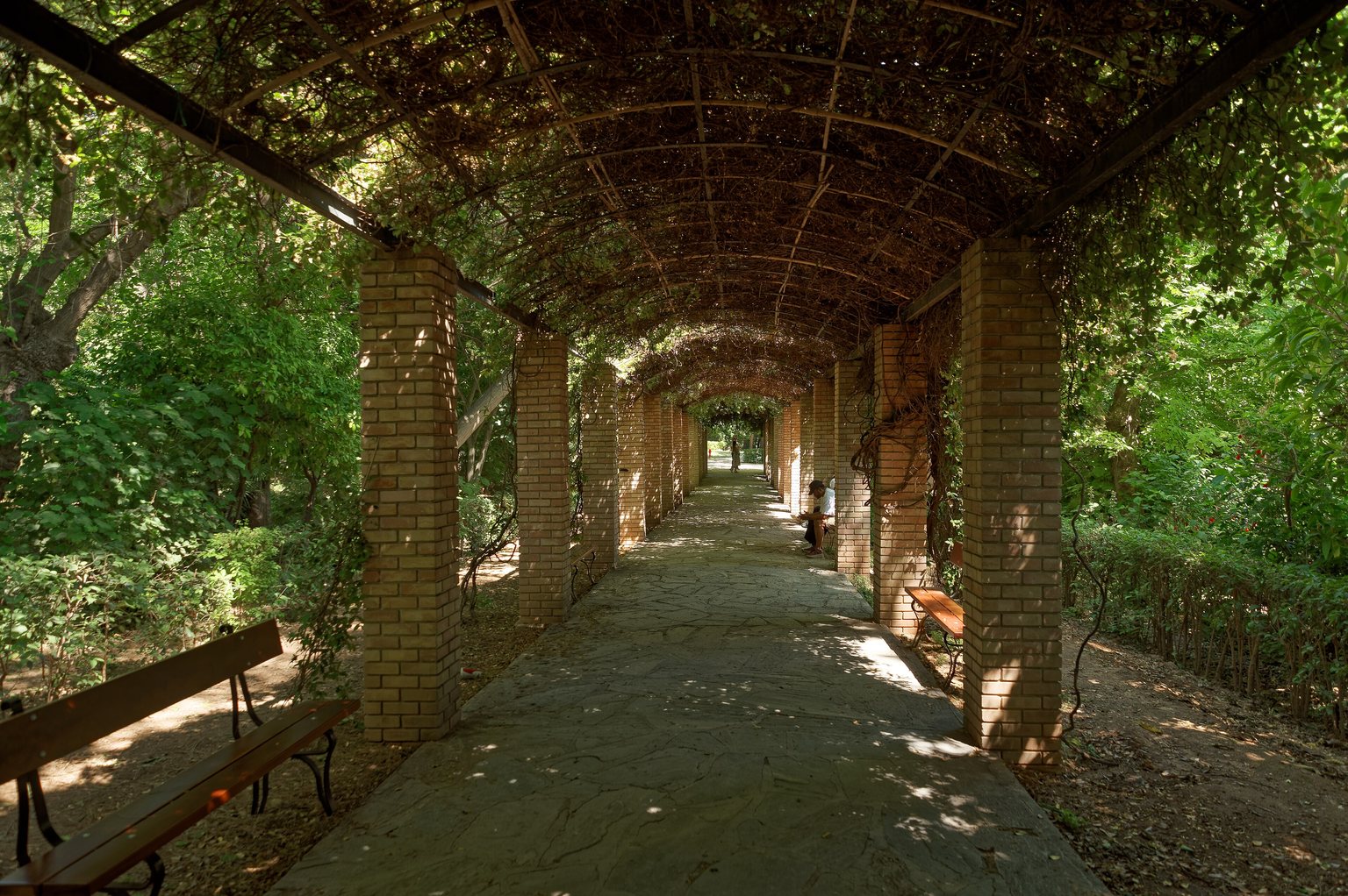A long pergola in the National Garden of Athens: a paved walkway under an arched iron frame covered in climbing plants, held up by brick pillars, with wooden benches on both sides and thick greenery