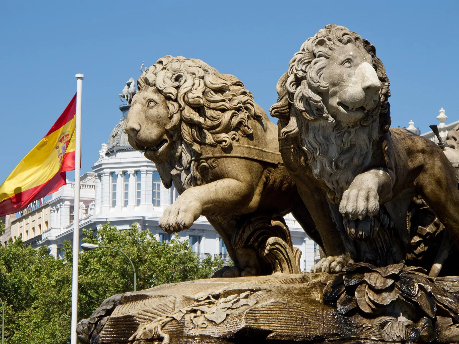 Close-up of the 2 marble lions of the Cibeles Fountain, each with a front paw raised, next to a Spanish flag
