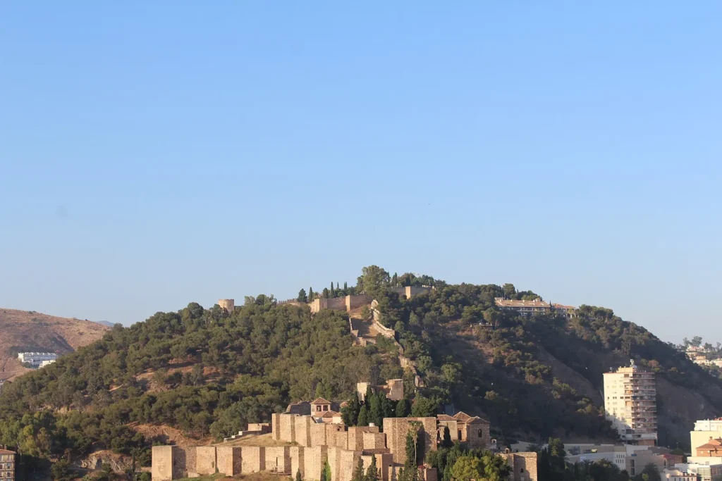 Gibralfaro hill in Málaga covered in pine trees, with the castle walls along its crest and the walls of the Alcazaba at its foot
