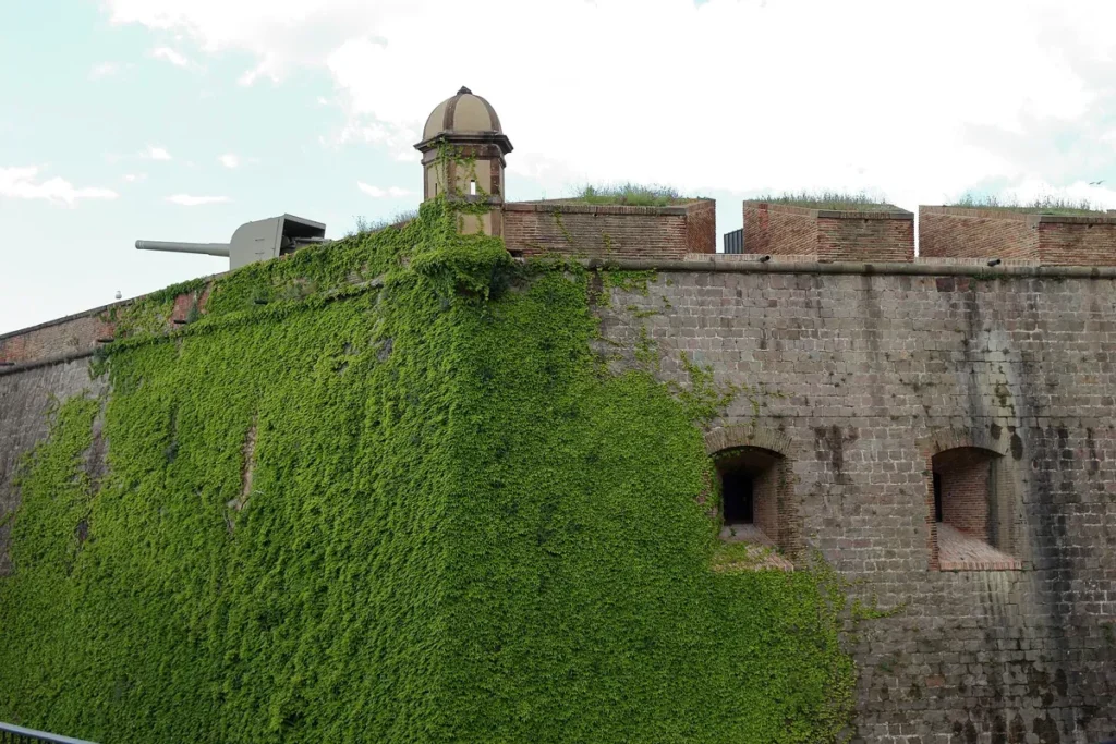 Stone bastion wall of Montjuïc Castle covered in ivy, with a domed sentry box and an old gun on top