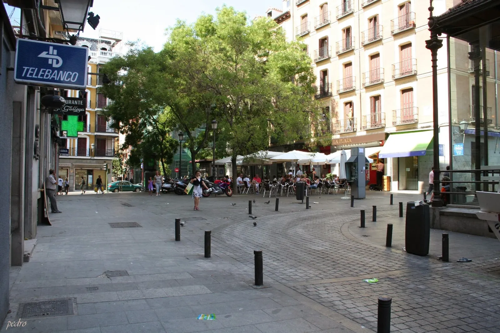 Plaza de San Miguel in Madrid with trees, café terraces under parasols and apartment buildings around it